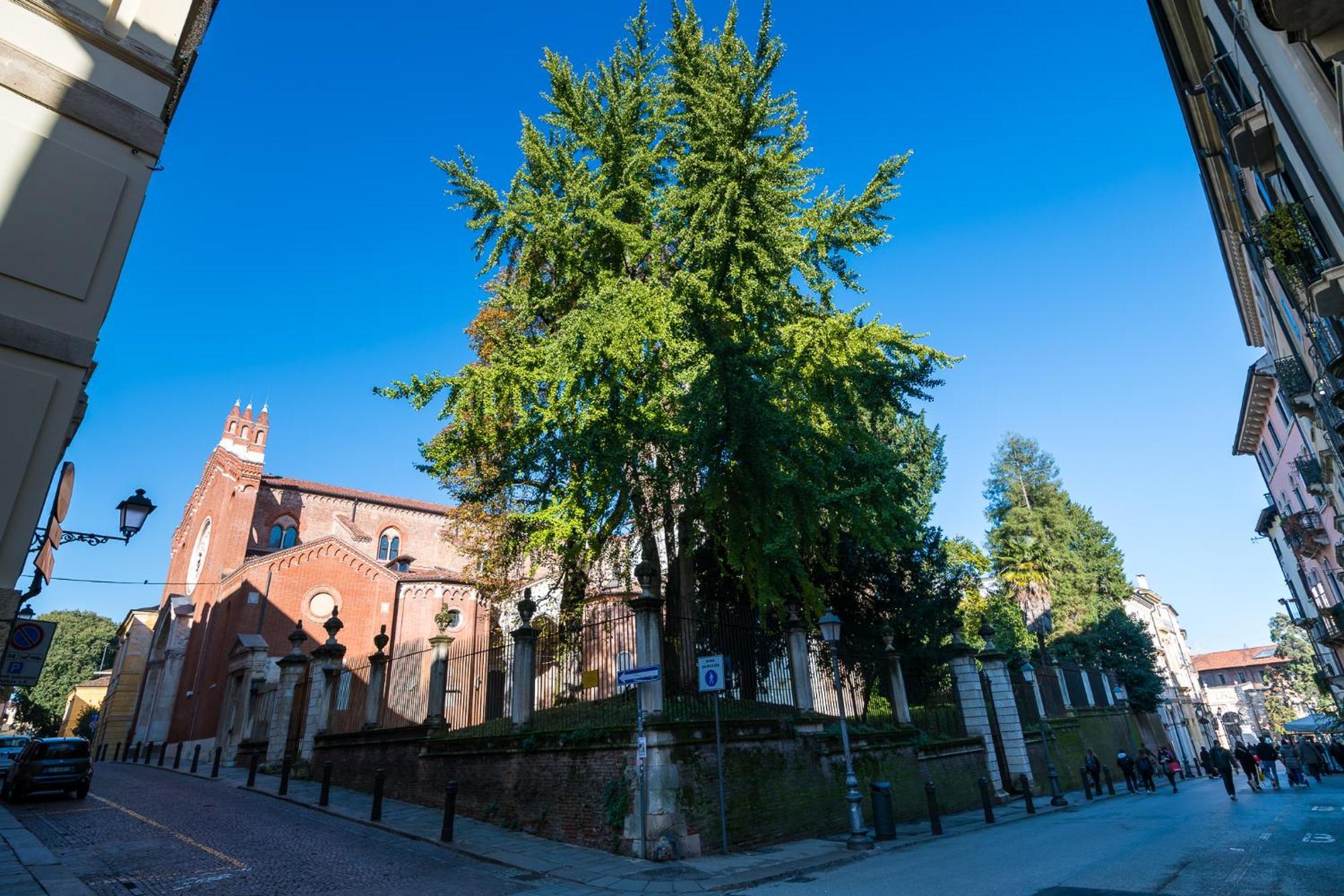 Residenza Corso Palladio 159 Vicenza Kültér fotó